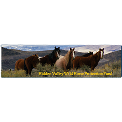Hidden Valley Wild Horse Association