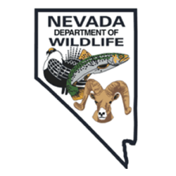 Nevada Department Wildlife