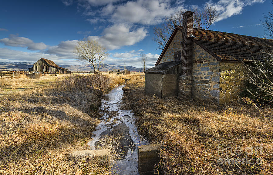 twaddle pedroli ranch ii-dianne phelps