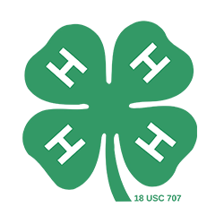 4 H Nevada